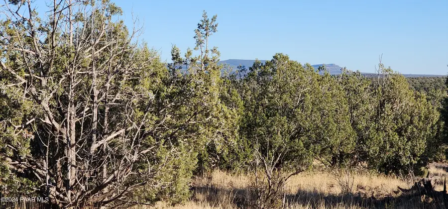 88-A Rose Lane, Ash Fork, AZ 86320 - Image #3