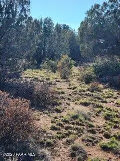 00 W Young Road, Prescott, AZ 86305