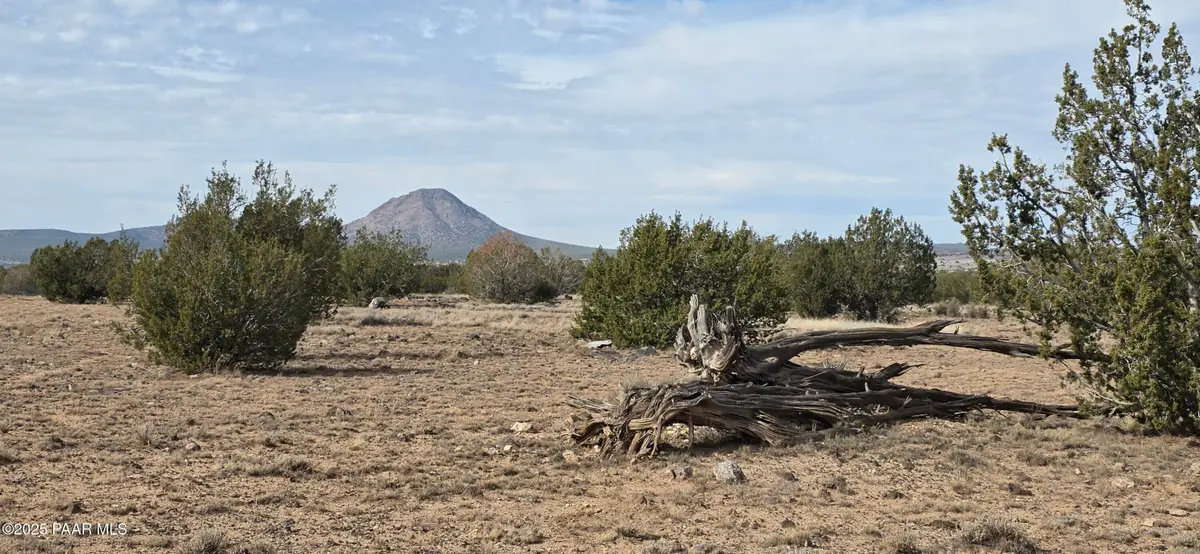 245 Antelope Run Rd, Ash Fork, AZ 86320 - Image #1