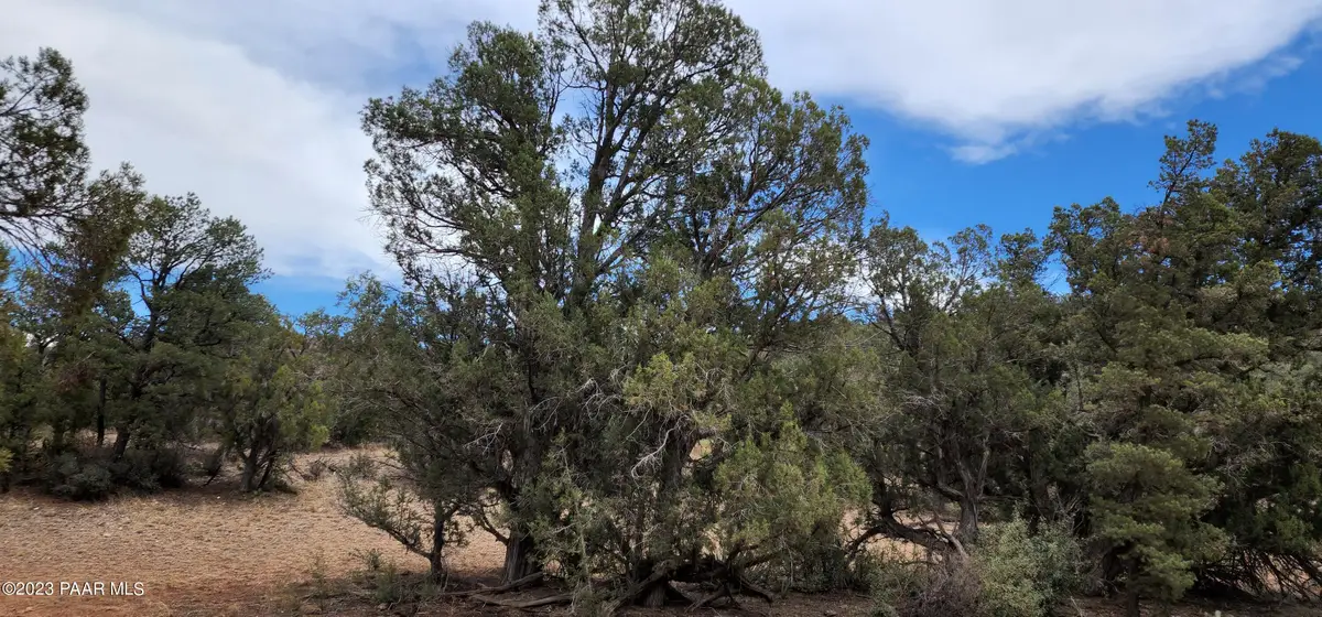 0 Off Of Dunbar, Williams, AZ 86046 - Image #1