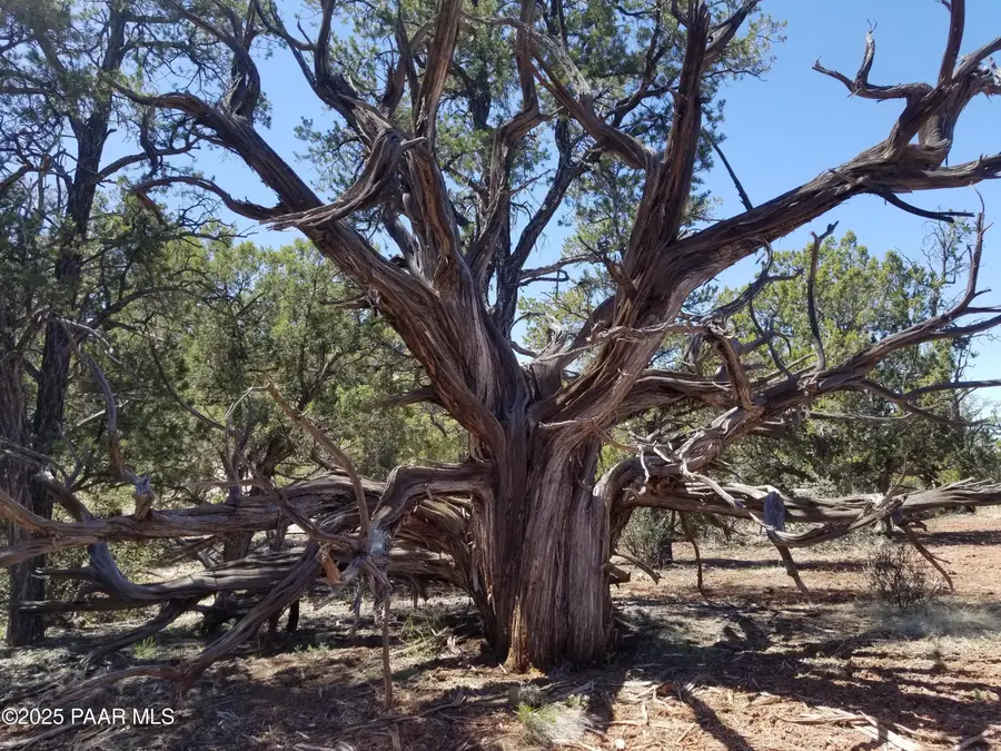 133 Off Arizona Road, Ash Fork, AZ 86320 - Image #2