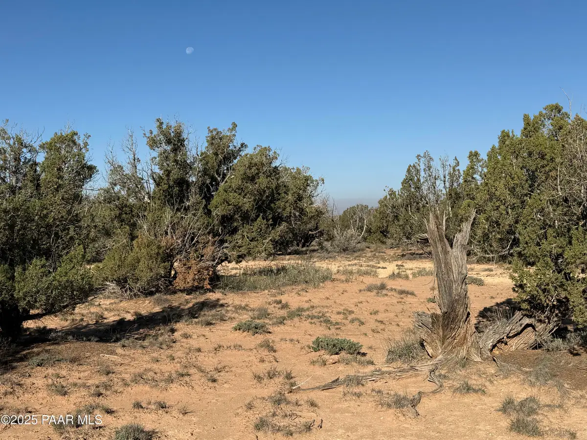 3868 Clyde Road, Snowflake, AZ 85937 - Image #1