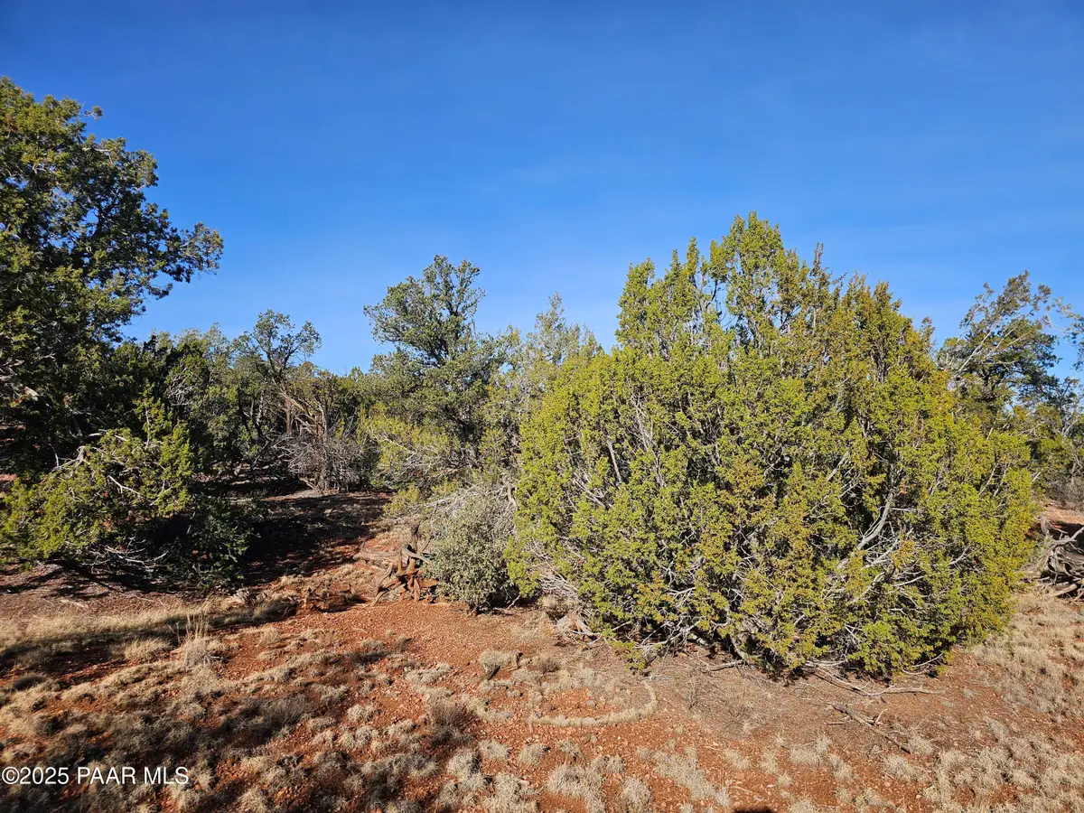 54892 N Potrero Lane, Seligman, AZ 86337 - Image #1