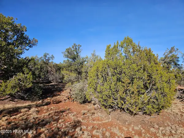 54892 N Potrero Lane, Seligman, AZ 86337