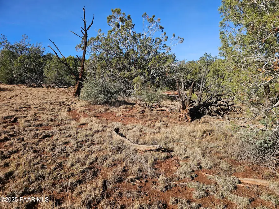 54892 N Potrero Lane, Seligman, AZ 86337 - Image #2