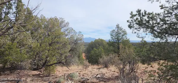 S2 Lot 92 Off Indian Springs, Ash Fork, AZ 86320