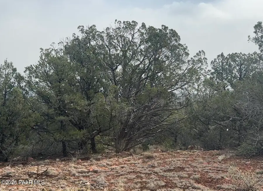 66b Howling Wolf Road, Ash Fork, AZ 86320 - Image #3