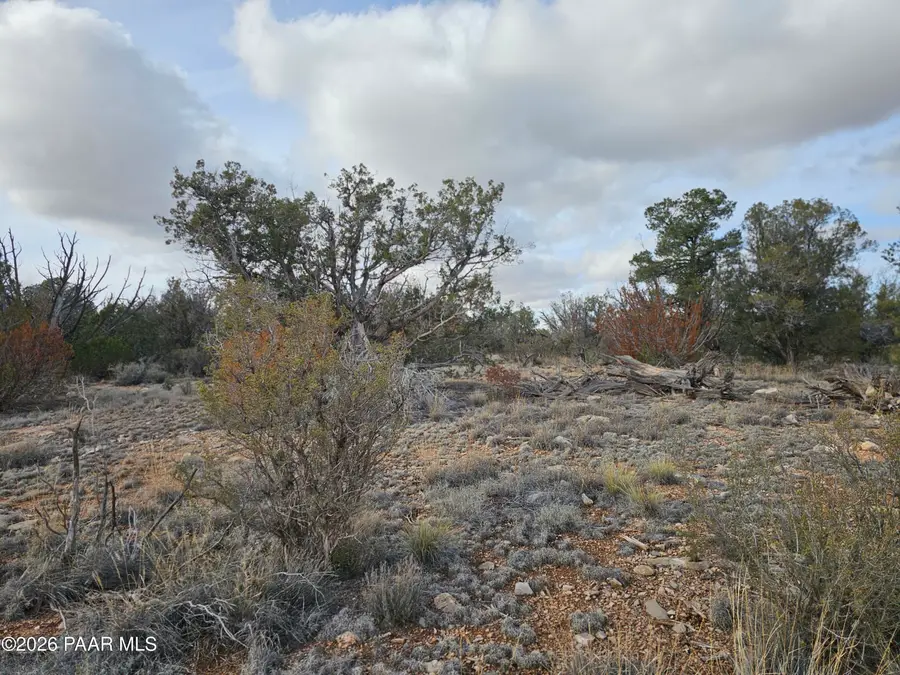 56450 N Shadow Mountain Parkway, Seligman, AZ 86337 - Image #3