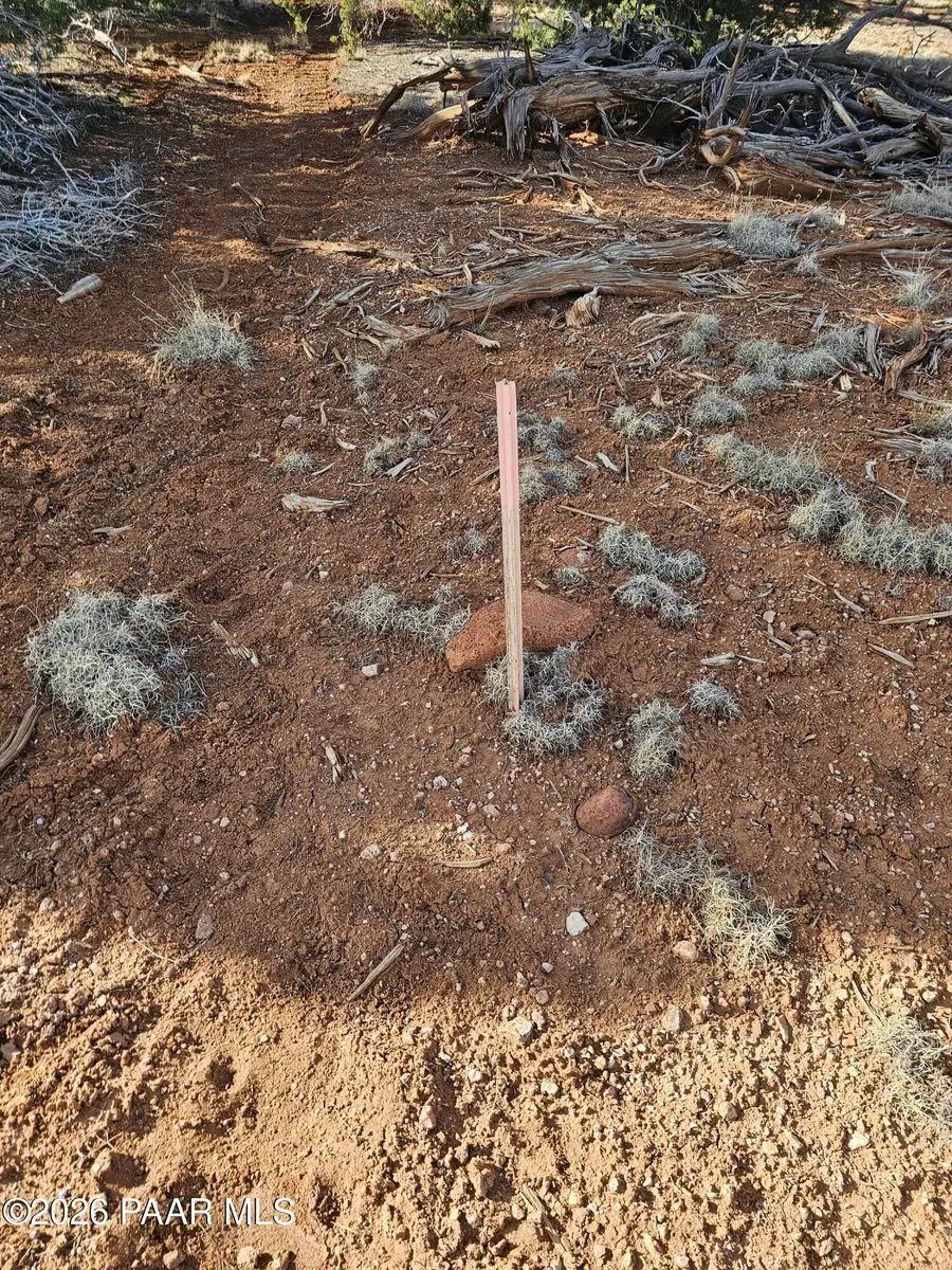 55644 N Potrero Parkway, Seligman, AZ 86337 - Image #3