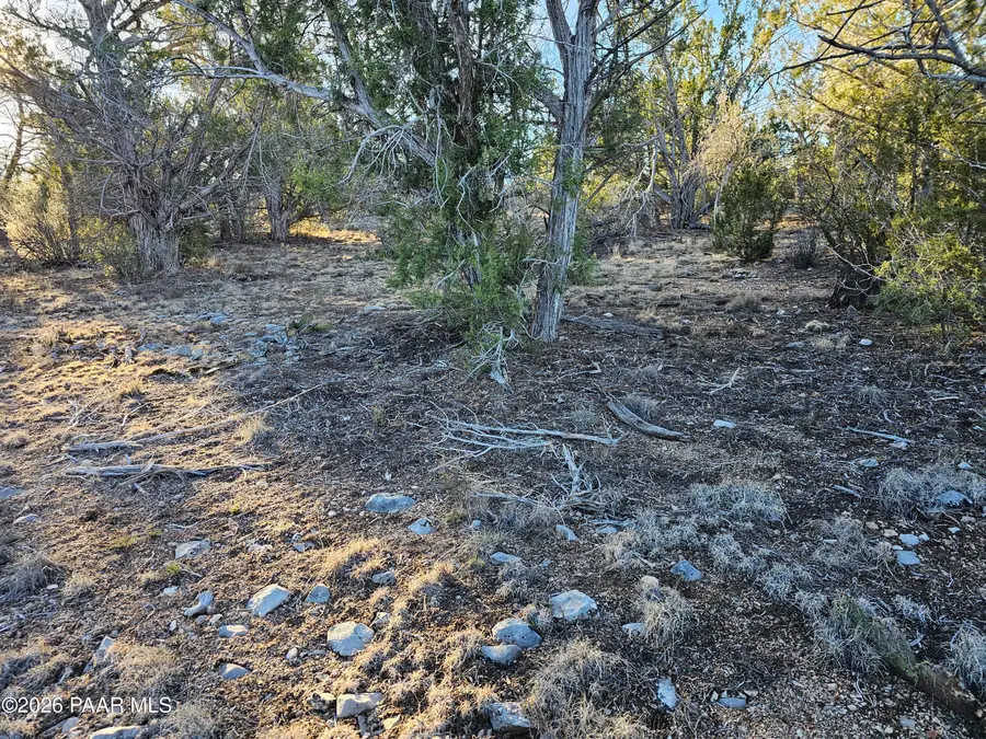 32397 W Camino Oso, Seligman, AZ 86337 - Image #3