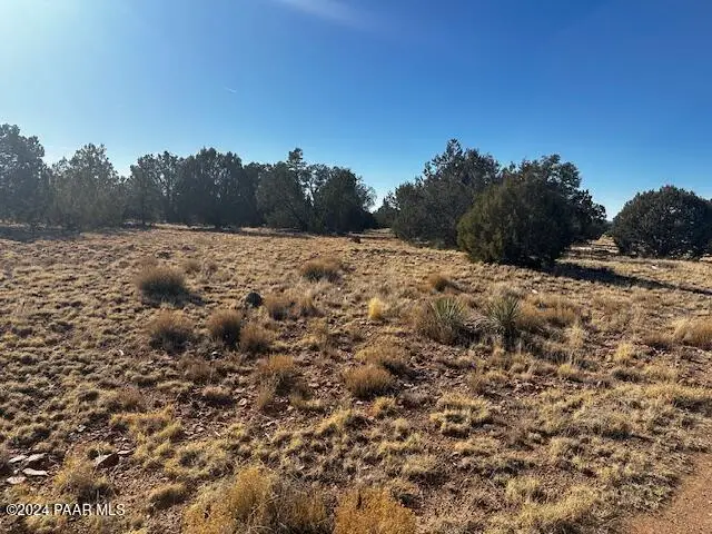 234nw Brothers Road, Seligman, AZ 86337 - Image #3