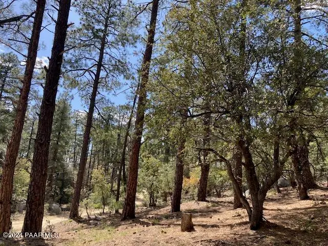 020e Vulture Bend Drive, Prescott, AZ 86305 - #1