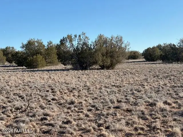 27275 Punta Lane, Seligman, AZ 86337 - #2