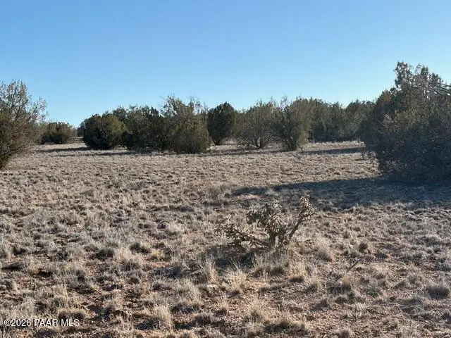 27275 Punta Lane, Seligman, AZ 86337 - #3