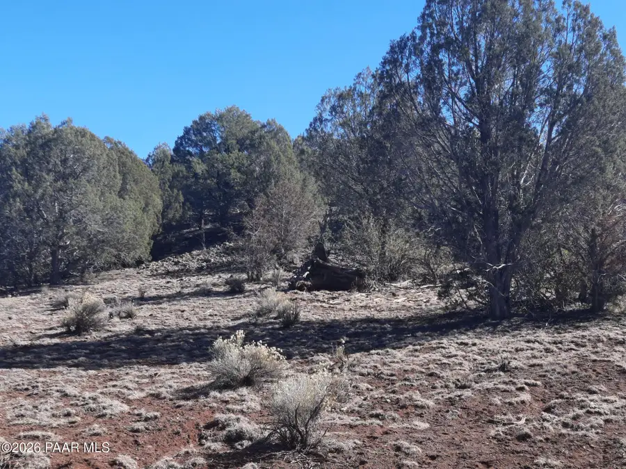 Lot 850 W Fort Rock Road, Seligman, AZ 86337 - #3