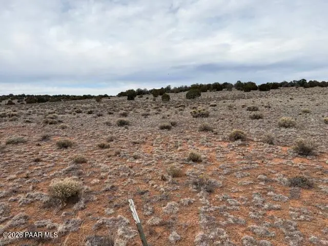 389 Rocky Top Road, Seligman, AZ 86337 - #3