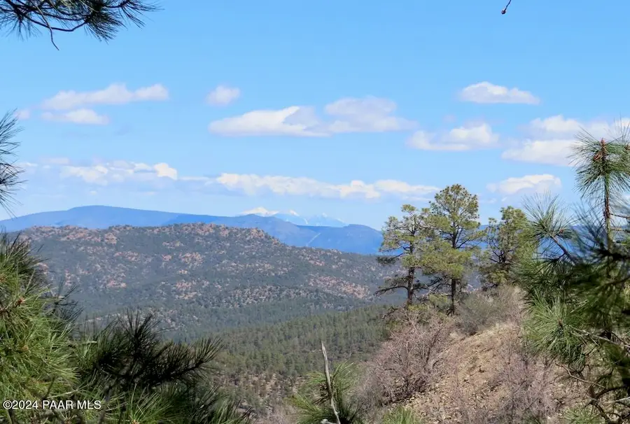 71xx S Big Bug Mesa Road, Prescott, AZ 86303 - #3
