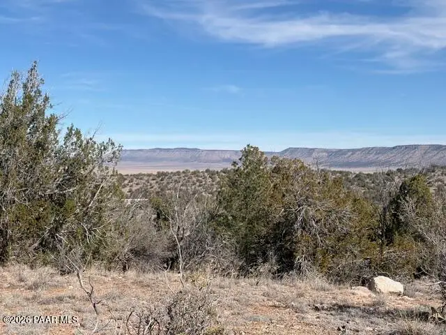 55991 N Bridge Canyon Parkway, Seligman, AZ 86337 - #1