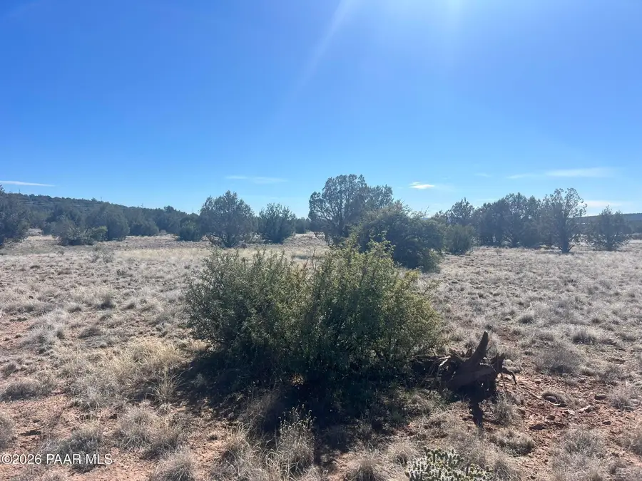 878 Fairview Drive, Williams, AZ 86046 - #2