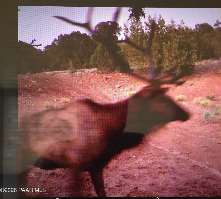 5479 N Ten Tanks Road, Williams, AZ 86046 - #2