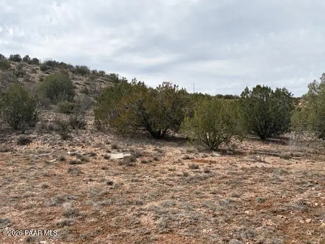 55410 Exeter Lane, Seligman, AZ 86337 - #2