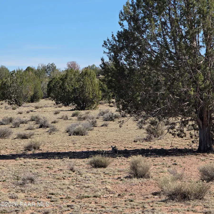 Lot 8 Tanner, Ash Fork, AZ 86320 - #2