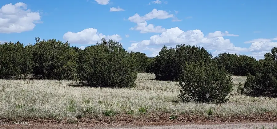 12b Juniperwood Ranch, Ash Fork, AZ 86320 - #3