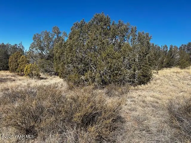 32372 Ancho Road, Seligman, AZ 86337 - #3