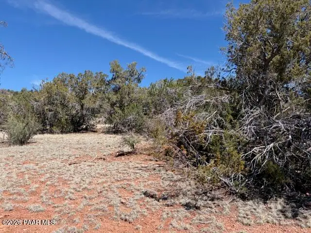 159 Circle Drive, Seligman, AZ 86337 - #2