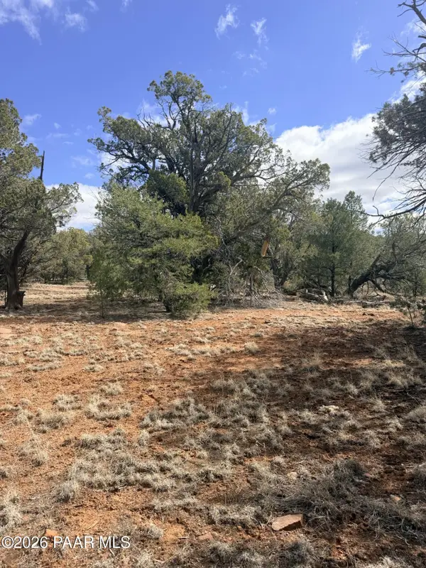 Lot 128 Forest Acres, Seligman, AZ 86337
