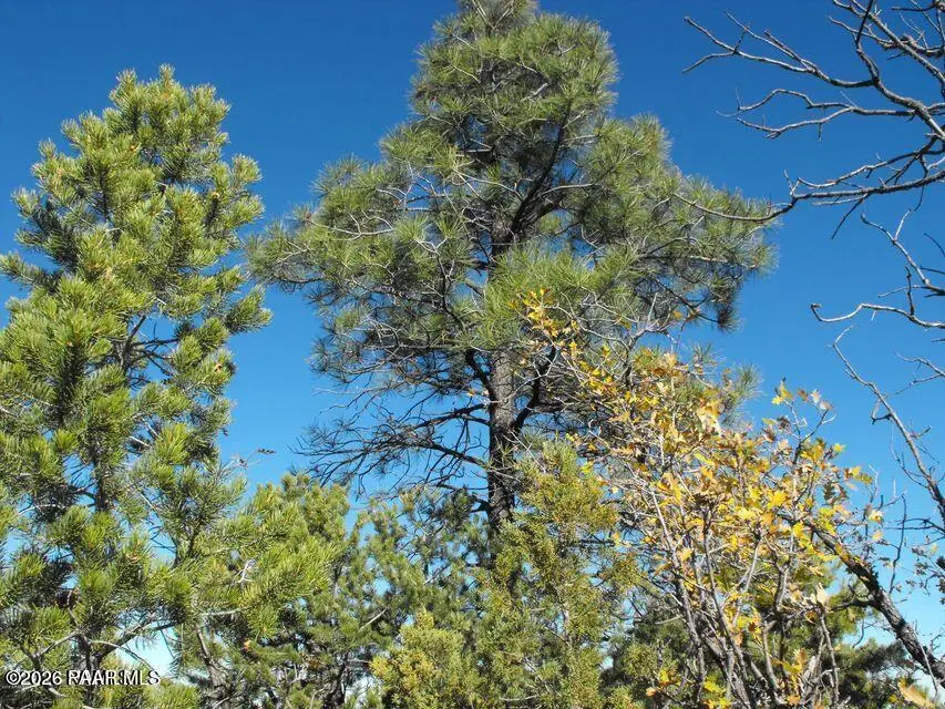 5247 Sunset Ridge Loop, Happy Jack, AZ 86024 - #3