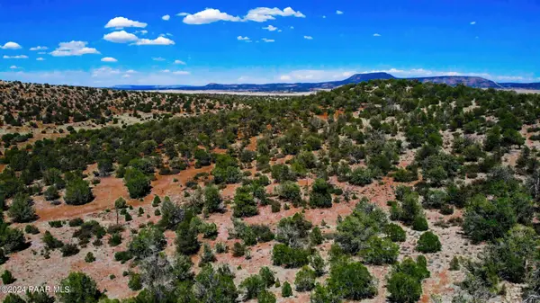 30117010n Unnamed Rd (10 Acres), Seligman, AZ 86337