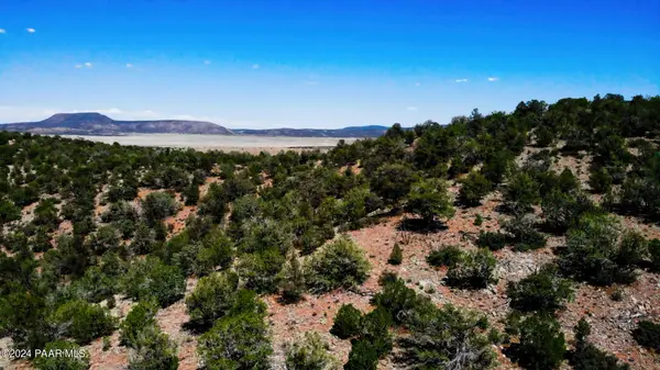 30117910p Unnamed Rd (20 Acres), Seligman, AZ 86337