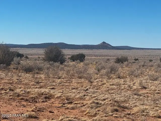 00 NE Double Back Drive, Seligman, AZ 86337 - #2