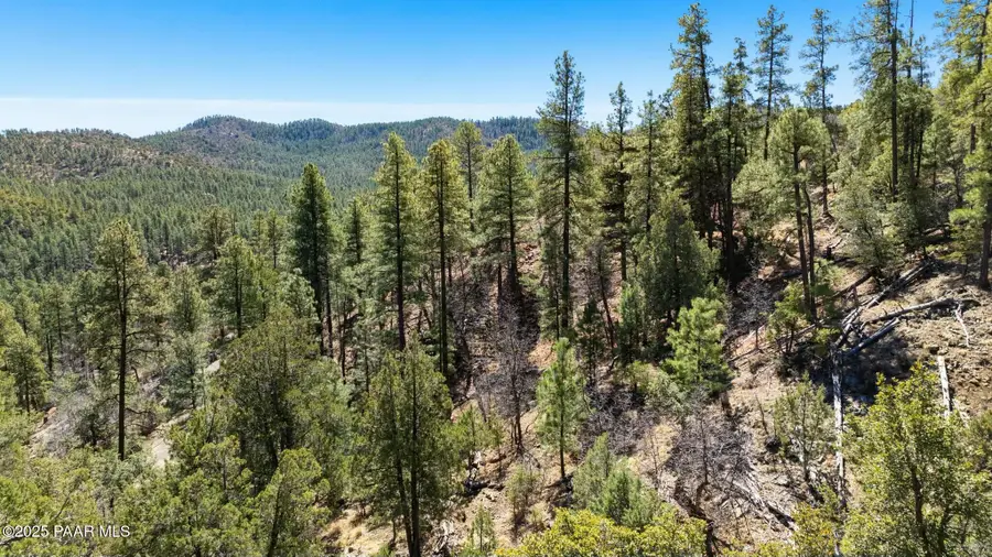 003 S Blue Jay Road, Prescott, AZ 86303 - #2