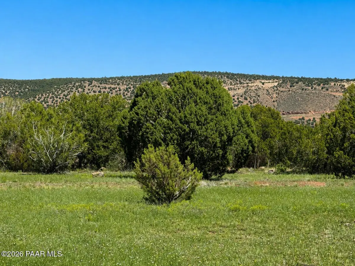 316 Forest Line Circle, Williams, AZ 86046 - #1