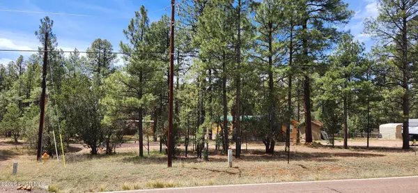 2890 Pine Rim Road, Overgaard, AZ 85933