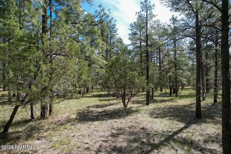 581 Cooper Ranch Lot 4 Road, Williams, AZ 86046 - #3