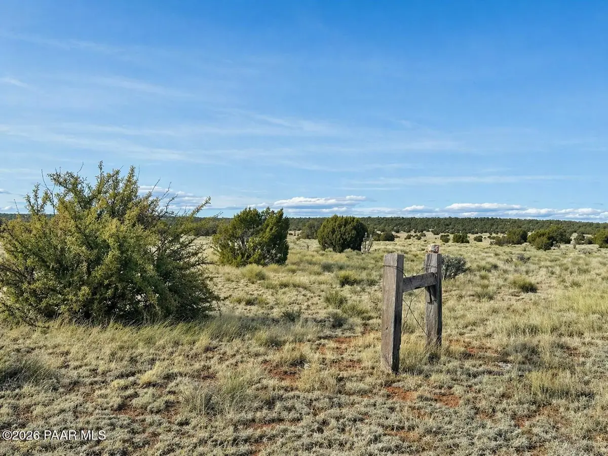 78 N Miller Road, Seligman, AZ 86337 - #1