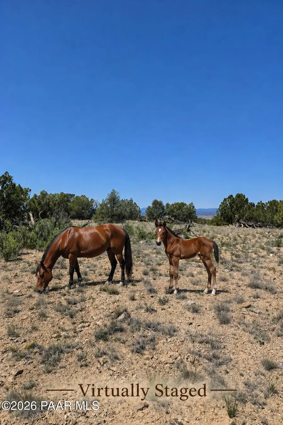 18201 N Crossroads Ranch Road, Prescott, AZ 86305 - #3