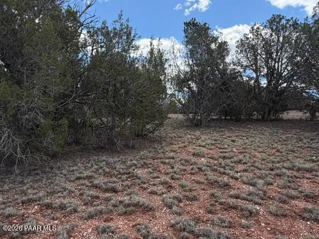 55103 N La Baya Road, Seligman, AZ 86337 - #3