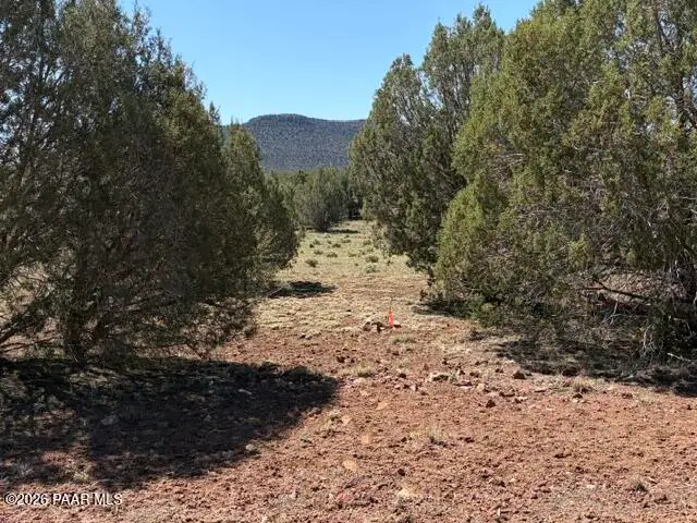 Lot 851 Fort Rock Road, Seligman, AZ 86337 - #1