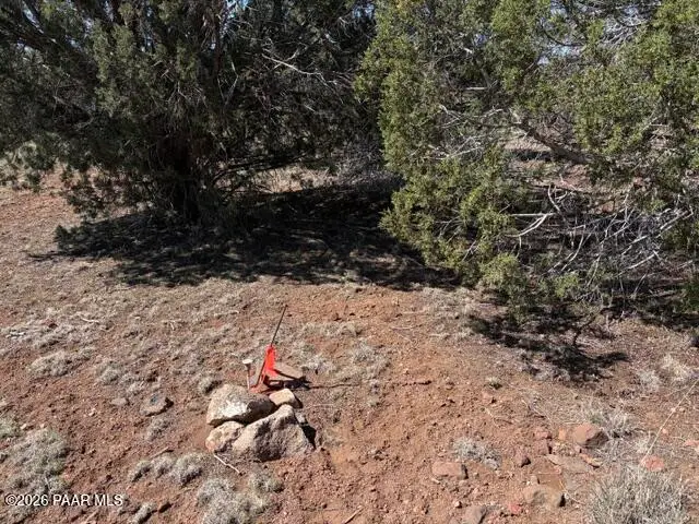 Lot 851 Fort Rock Road, Seligman, AZ 86337 - #2