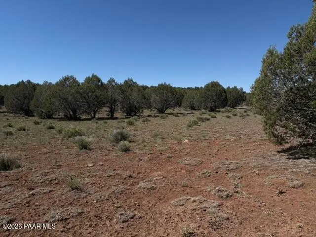 Lot 851 Fort Rock Road, Seligman, AZ 86337 - #3
