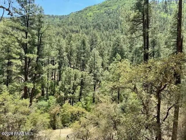0 E Poland Road, Mayer, AZ 86333 - #3