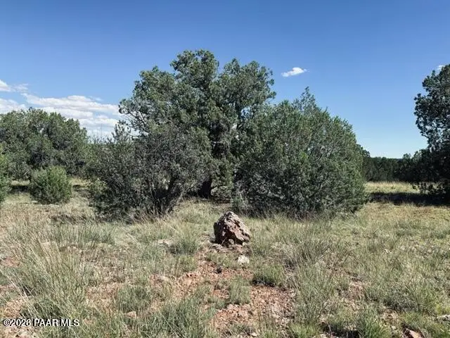 Lot 89sw Arrow Way, Seligman, AZ 86337 - #1