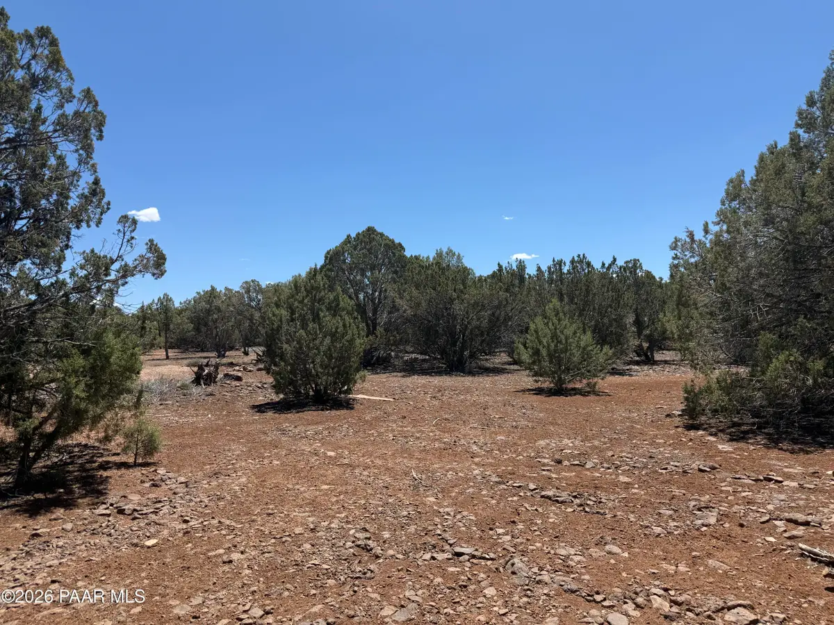 1886/1890 White Tail Place, Show Low, AZ 85901 - #1