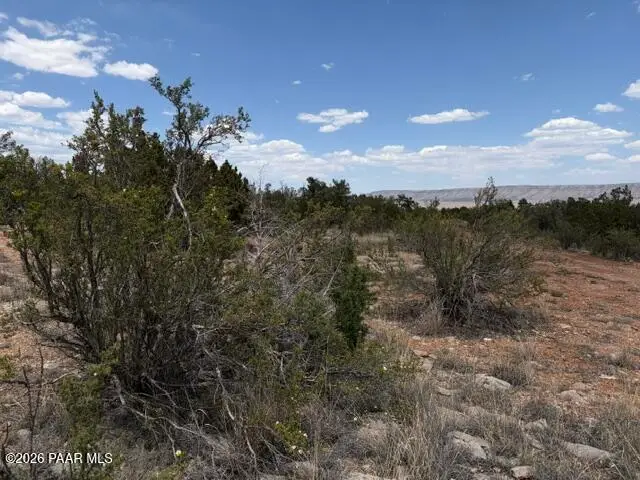 3883 N Shadow Mountain Parkway, Seligman, AZ 86337 - #2