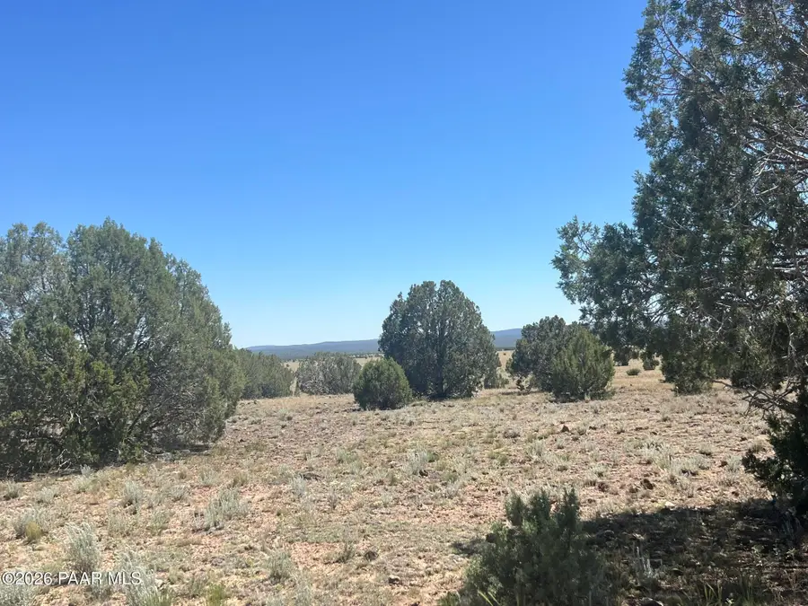 310 Un Named Road, Ash Fork, AZ 86320 - #3