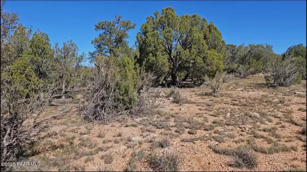 54913 N Echo Lane, Seligman, AZ 86337